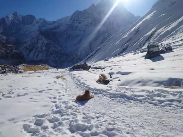 安納普納雪地步道與群山
